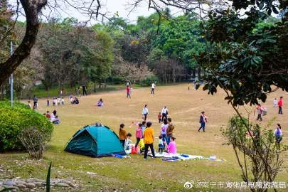 象湖湿地公园要门票吗_象湖湿地公园游玩攻略_象湖湿地公园坐几路公交车