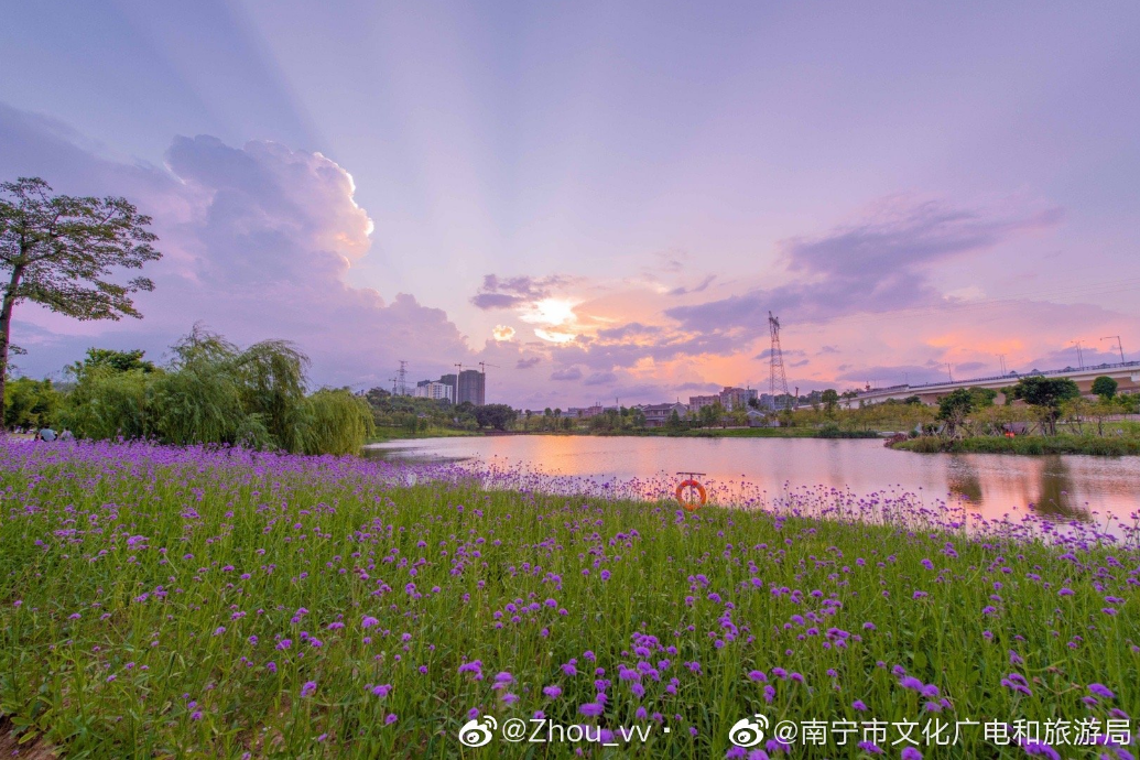 象湖湿地公园要门票吗_象湖湿地公园坐几路公交车_象湖湿地公园游玩攻略