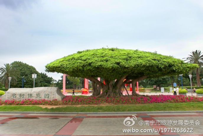 象湖湿地公园要门票吗_象湖湿地公园游玩攻略_象湖湿地公园坐几路公交车