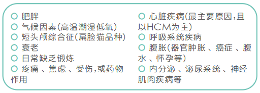 猫吐舌头像狗一样喘气_猫像狗一样吐舌头喘气是怎么回事_猫和狗一样吐舌头喘气