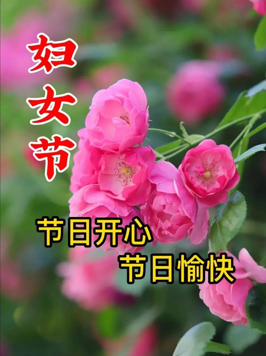 砉节祝福图_节日祝福图片大全下载_三八节快乐祝福图片