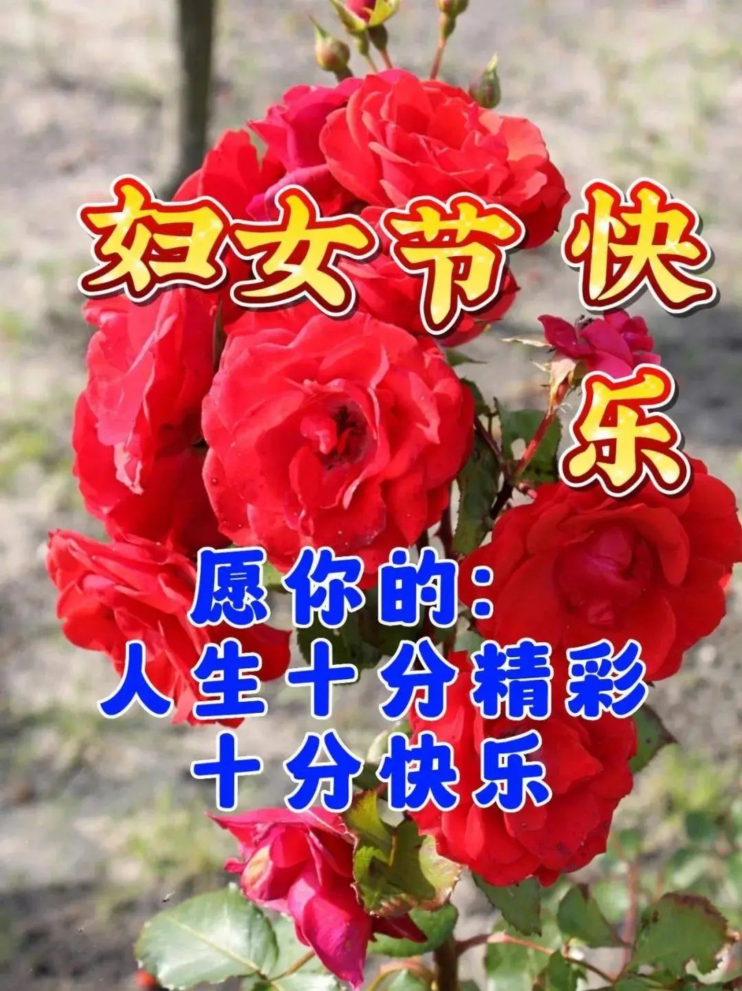 三八节快乐祝福图片_节日祝福图片大全下载_砉节祝福图